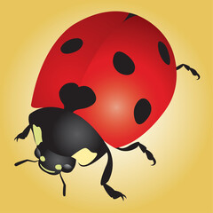 A graphic illustration of a red ladybug with black spots. 