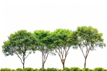 Shiny green olives on white background. Neural network AI generated