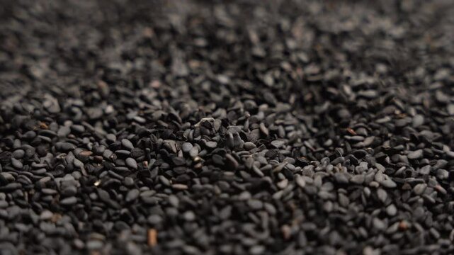 Black cumin seeds rotating in a circle, texture, background