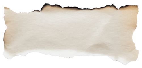 Price tag paper document animal.