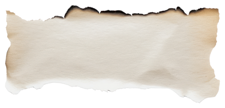 Price tag paper document animal.