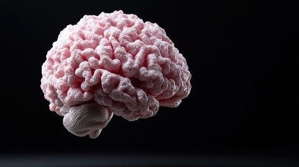 Pink 3D Model Brain Floating on Black Background
