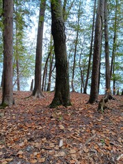 Potawatomi State Park Sturgeon Bay Wisconsin 