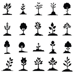 Plant tree vector silhouette illustration set