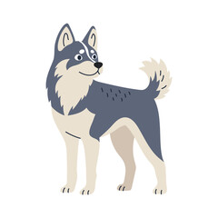 Cute husky, dog standing. Domestic animal, breed. Isolated flat vector illustration