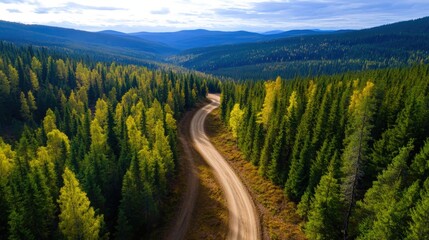 Obraz premium A breathtaking aerial view showcasing a winding dirt road surrounded by lush green forests and distant mountains under a clear blue sky, perfect for nature lovers and adventurers.