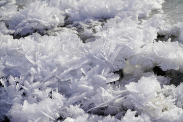 Snow Crystal Flowers