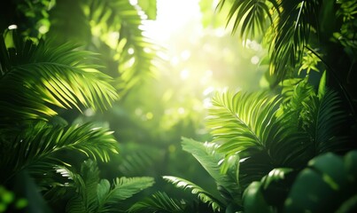 Lush green jungle foliage illuminated by soft sunlight filtering through, creating a serene and tropical escape.