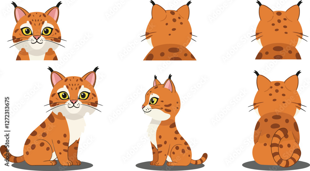 Poster cute lynx character design in flat style showcasing multiple angles vector illustration