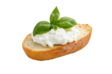 Slice of bread with a piece of cheese and a leaf of basil on top, isolated