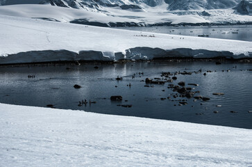 Antarctic Peninsula: Snowy peaks, icebergs, cloudy sky. Lemaire Channel