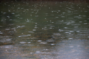 Raindrops on a calm body of water