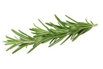 Fototapeta premium Green herb with a white stem, isolated