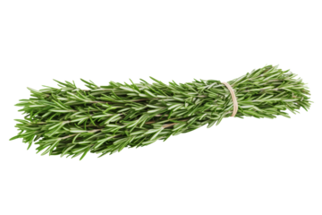 Bunch of fresh green herbs are tied together with a string, isolated