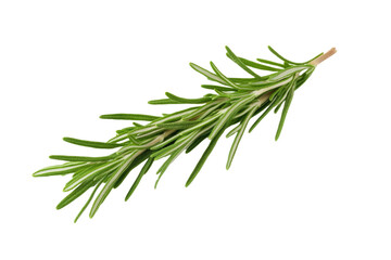 Fototapeta premium Green herb with a white background, isolated