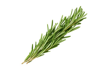 Fototapeta premium Green herb with a long stem, isolated