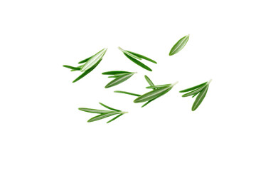 Obraz premium Bunch of green herbs are scattered across a white background, isolated