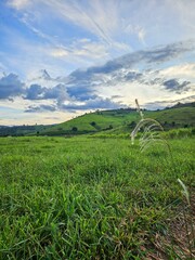 Serene landscape of green hillside
