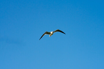 South Padre Island, Texas
