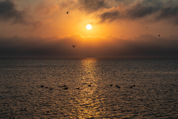 Sunset in South Padre Island, Texas
