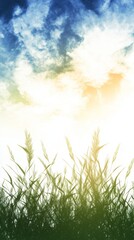 Obraz premium Serene tall grass silhouetted against a vibrant sunset sky. Nature's tranquil beauty.