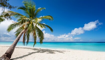 Beautiful palm tree on tropical island beach on background blue sky with white clouds and turquoise ocean on sunny day. Generated image