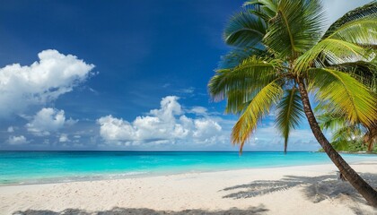 Beautiful palm tree on tropical island beach on background blue sky with white clouds and turquoise ocean on sunny day. Generated image