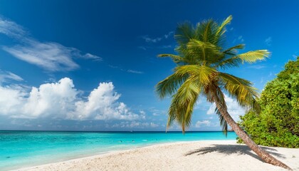 Fototapeta premium Beautiful palm tree on tropical island beach on background blue sky with white clouds and turquoise ocean on sunny day. Generated image