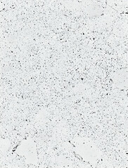 Subtle Speckled Surface, A Light Grey Textured Background with Intricate Black Flecks and Delicate Fissures, Ideal for Modern Designs