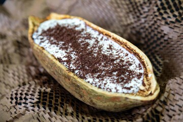 Traditional cupuaçu cream, cupuaçu mousse served in the fruit shell with grated chocolate