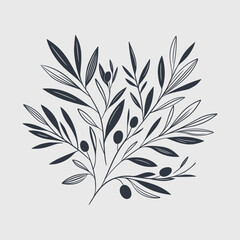 Flat vector olive branch with olives. Hand drawn olive tree branch. Mediterranean food, aroma organic oil. Greek plant linear illustration isolated from background.