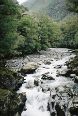 creek in the mountain