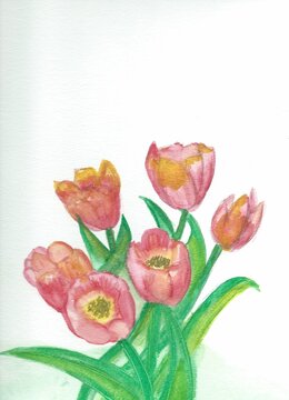 Watercolor Painting of Pink Tulips in Bloom