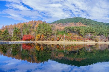蓼の海公園で見た静寂に包まれた紅葉情景