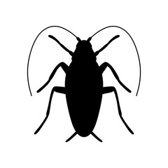 black silhouette of cockroach insect isolated on white background