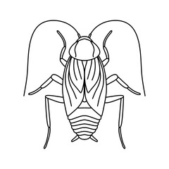 cockroach line icon vector illustration isolated on white background.