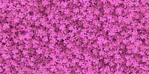 Fototapeta premium Pink flowers bloom densely, creating a vibrant floral background, suitable for spring themes