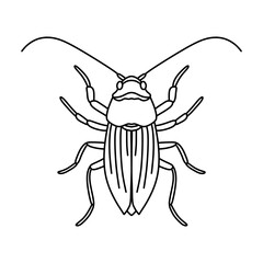 cockroach line icon vector illustration isolated on white background.