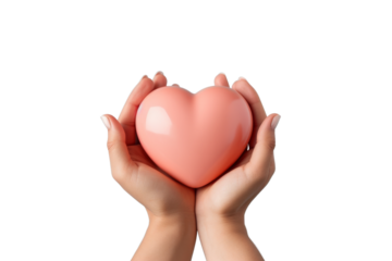 Pair of Hands Gently Holding a Shiny Pink Heart Symbolizing Love, Care, and Compassion