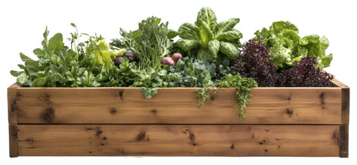 PNG Wooden Raised Bed Filled
