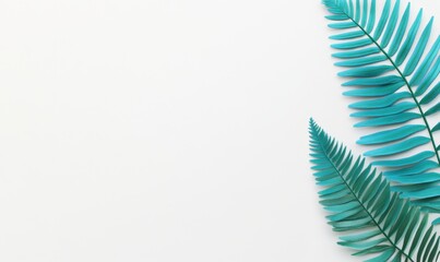 Lush teal fern leaves gracefully extend from the corners of a minimalist white background