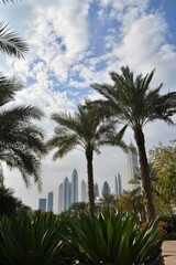 Urban skyline with palms and clouds captured during a clear day in Dubai