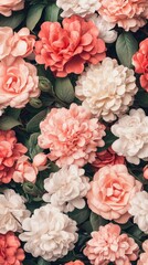 A vibrant arrangement of pink and white flowers, showcasing nature's beauty in a garden