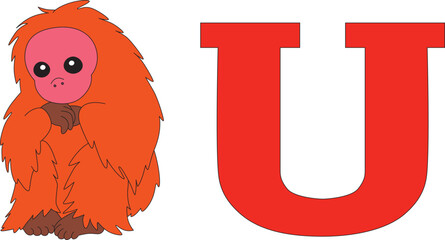ginger bald uakari next to the letter U