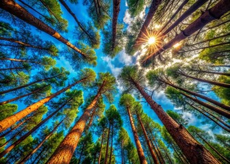 Majestic Pine Trees Reaching for the Sky - Stunning Nature Photography