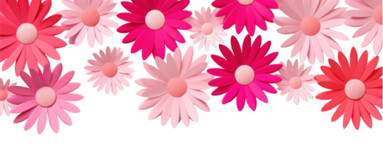 PNG Gerbera floral border backgrounds flower petal.