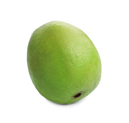 One fresh guava fruit isolated on white