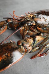 One raw lobster on grey textured table, closeup