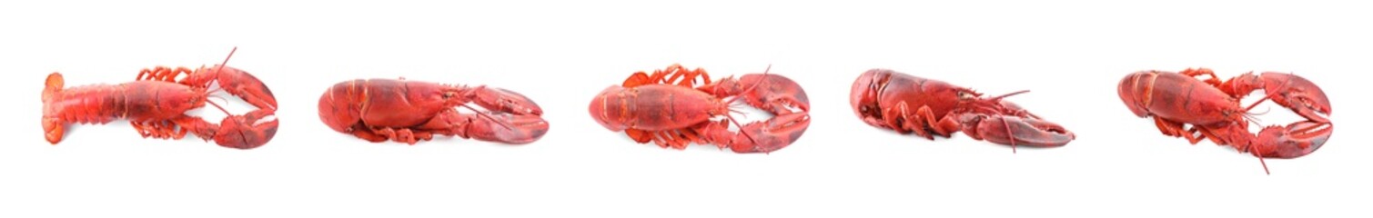 Tasty boiled lobster isolated on white, set