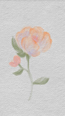 Watercolor Flowers in Peach and Soft Purple